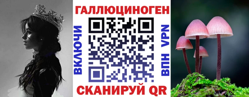Галлюциногенные грибы Psilocybe  Сосногорск 